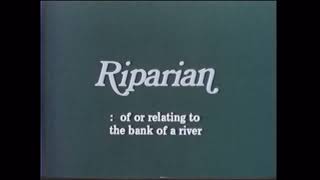 RIPARIAN [upl. by Esiuole]