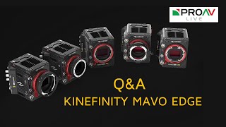 Kinefinity MAVO Edge QampA with CEO Jihua Zheng [upl. by Prichard768]