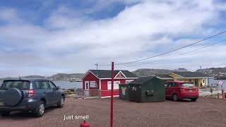 Twillingate NL Canada 🇨🇦 [upl. by Analrahc]