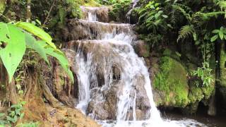 Sons da Natureza  Cachoeira Natural 1 hora  Para Relaxamento Meditação Dormir ou Estudar [upl. by Kory570]