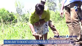 GOV WANGA Rolls Out Over Sh27m To Boost Cotton Farming In Homa Bay [upl. by Tai682]