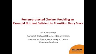 Choline A Limiting Nutrient for Transition Dairy Cows  Ric Grummer PhD [upl. by Otanod]