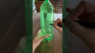 Beautiful landscaping pruning flower in bottle plastic so easy plant flower plants diy beautiful [upl. by Heintz129]