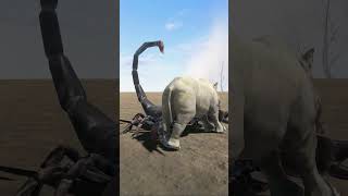 Epic Encounter Rhinoceros vs Emperor Scorpion [upl. by Wexler575]