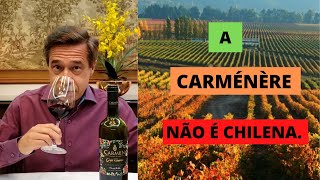 Carménère sua origem história e características [upl. by Sirtemed]