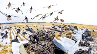 FIRST SNOW STORM DUCK HUNT 10 MAN LIMIT [upl. by Dennet]