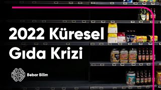 2022 Küresel Gıda Krizi [upl. by Nelli625]