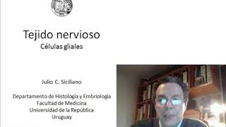 Histología NCR  T03  Células gliales [upl. by Asel]