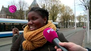 Negers over racismegehalte Nederland [upl. by Ecineg548]