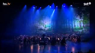 Te Deum  Opening Cerimony Eurovision Song Contest 2013 [upl. by Araed380]