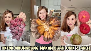 MAKAN BUAH NIPAH RAKSASA  TIKTOK SIBUNGBUNG MAKAN BUAH UNIK amp ANEH [upl. by Aixela277]