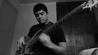 Sounds of blacknessOptimistic bass cover [upl. by Pepi]