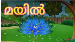 Mayile mayile song MALAYALAM RHYME [upl. by Keli229]