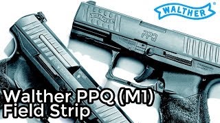 Walther PPQ Field Strip [upl. by Ahsyat758]