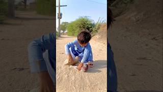 Bujbaan Kabootar ke sath asa na kiya karo 😭😘😍🕊️shorts youtubeshorts shortvideo birds [upl. by Oilerua35]