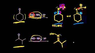 Formation of oximes and hydrazones  Aldehydes and ketones  Organic chemistry  Khan Academy [upl. by Durer439]