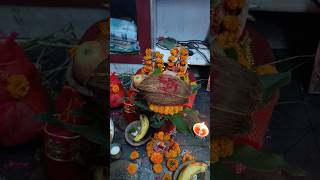 Lakshmi Ganesh ji pujandeep utsavshort videoviral song [upl. by Annekahs697]