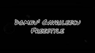 Domnu Gavrilescu  Freestyle [upl. by Ttoile59]