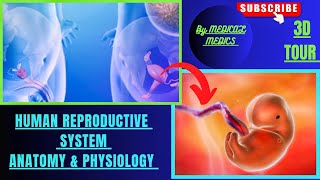 Human Reproductive System  Anatomy amp Physiology of Human Reproductive System  Medical Medics [upl. by Sloan]