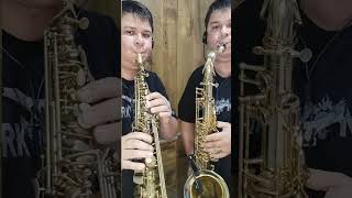 Forro em Santo André  Hermeto Pascoal saxophone musica viral musicalinstrument jazz saxjazz [upl. by Braden]