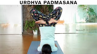 How to do Urdhva Padmasana  Upward Lotus Pose [upl. by Bunow]