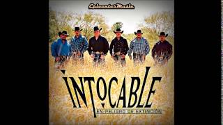 Grupo Intocable  El Perdedor EPICENTER BASS BOOST 2014 [upl. by Nowell399]