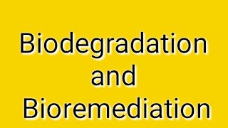 Biodegradation and bioremediation [upl. by Amarillis432]