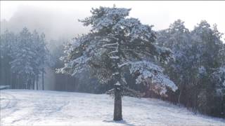 Srbija Moja zemlja Moje putovanje  Planine Srbije [upl. by Sinnek982]