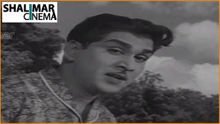 Zamindar Movie 1965  Aa Navvula Kosame Video Song  Nageswara Rao Krishna Kumari [upl. by Dorotea]