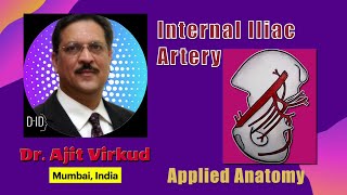 Internal Iliac Artery Applied Anatomy [upl. by Adrienne]