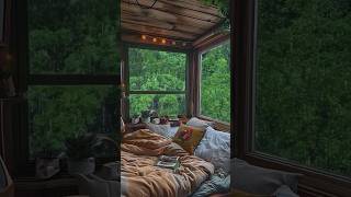 Rain Ambience Cozy Cabin Relaxing Sound rainytravel explore wanderingphotographers travelvideo [upl. by Hartill]