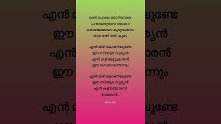 Mari pole song lyrics trending songlyrics malayalamlyrics shorts mammootty maripole [upl. by Barbie]