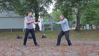 Bajiquan technique 1 Ding zhou [upl. by Eelek106]