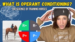 Horse Training It’s A Science But How  OPERANT CONDITIONING [upl. by Ulland]