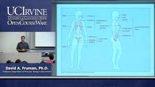 Biological Sciences M121 Immunology with Hematology Lecture 01 Course Introduction [upl. by Gordie734]