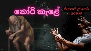 නෝරි කැළේ  Nori forest  horror story 27 [upl. by Vevina]