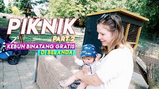 KEBUN BINATANG GRATIS DI BELANDA  PIKNIK PART 2  REZZVLOG [upl. by Liam21]