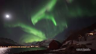 Aurora Borealis or Northern Lights in Arctic Norway Sony A7S live Video [upl. by Kohsa]