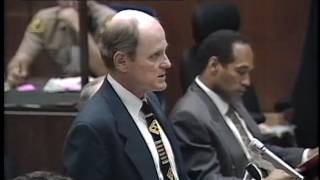 OJ Simpson Trial  September 11th 1995  Part 3 [upl. by Nnahgiel]