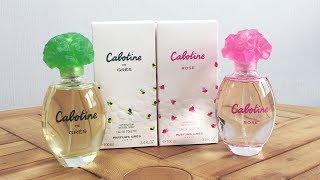 Gres Cabotine Perfume Spray 8211 Marys Mart [upl. by Quintina726]