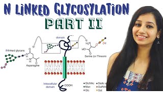 N LINKED GLYCOSYLATION PART IIProtein SortingProtein TargetingCell BiologyEndoplasmic Reticulum [upl. by Pierrepont]