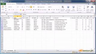 14 Microsoft Excel 20072010  sortowanie i filtrowanie danych formatowanie warunkoweavi [upl. by Odlanier]