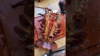 seafood lobster crab food cooking tomalley delicious yummy spinylobster outdoorcooking [upl. by Sorips321]