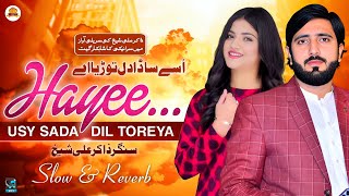 Dil Toryae  Zakir Ali Sheikh New Saraiki Punjabi Song 2024  اسے ساڈا دل ❤️ توڑیے  Slow Reverb [upl. by Doowle]