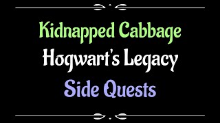 Lets Play  Everyquest  Hogwarts Legacy  Kidnapped Cabbage [upl. by Heimer]