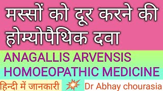 मस्सों की होम्योपैथिक दवा anagallis arvensis Homoeopathic medicine masse ki homeopathic dawa मस्सेध [upl. by Yunick]