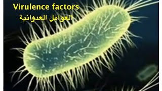 microbial virulence factors  العوامل العدوانية للميكوبات والبكتريا [upl. by Hamford147]