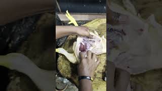 Chicken cuttingchicken dressingamezingsatisfyingvideonatukodicuttingskillscuttingandstitching [upl. by Ahtennek6]