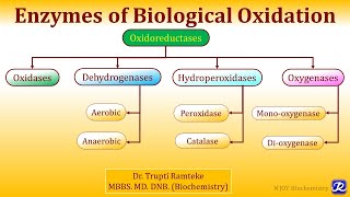 1 Enzymes of Biological Oxidation  Biological oxidation  Biochemistry  NJOY Biochemistry [upl. by Lahtnero]