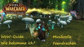 WoWGuide Wie bekomme ich die Musikrolle Feendrachen [upl. by Fanestil154]